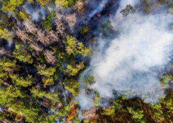 Extinction Rebellion does not need to be popular to be successful